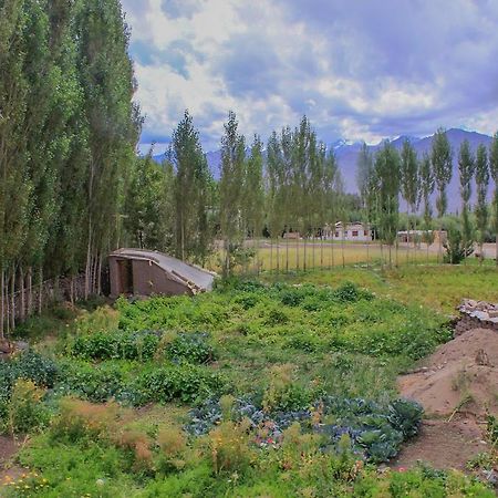 Tsetan Guest House Лех Екстер'єр фото