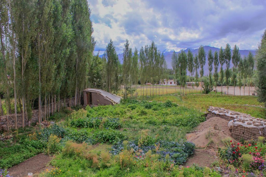 Tsetan Guest House Лех Екстер'єр фото